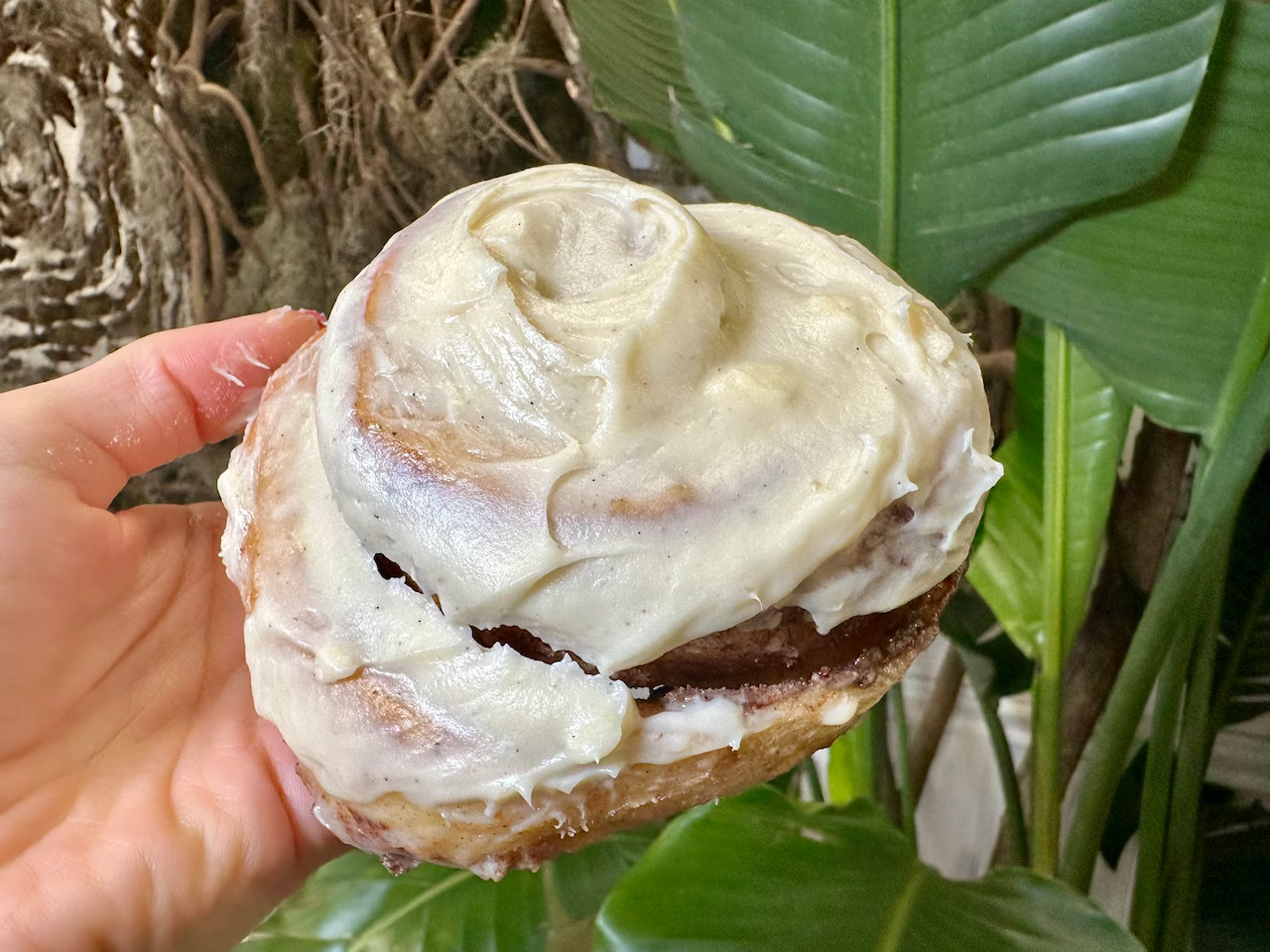 NJ.com – Mav's Top Buns